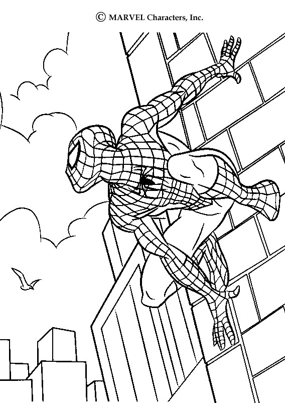 Spiderman scales walls coloring pages