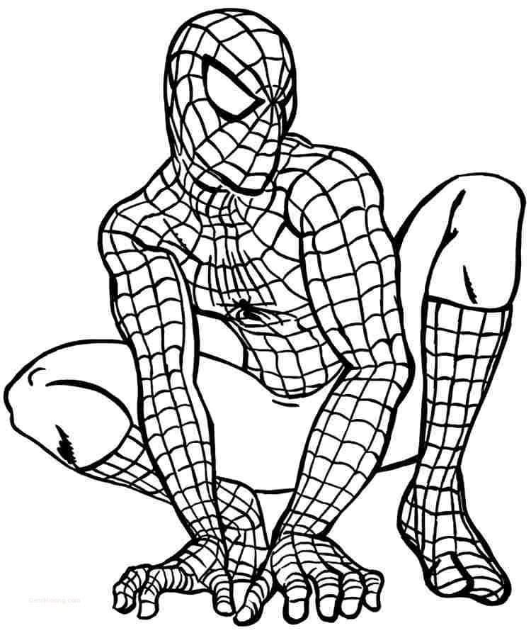 Coloring pages spiderman superhero coloring pages