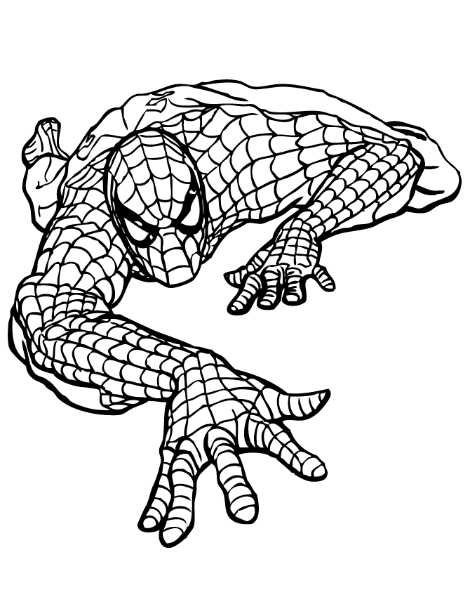 Free printable spiderman coloring pages for kids