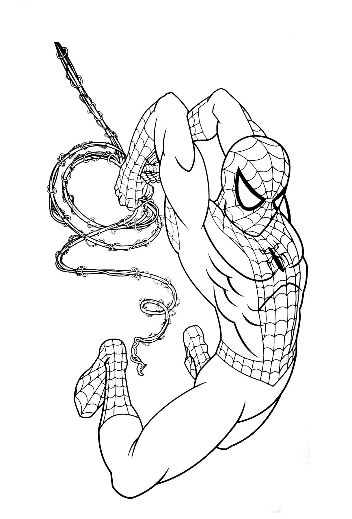 Spiderman free to color for children