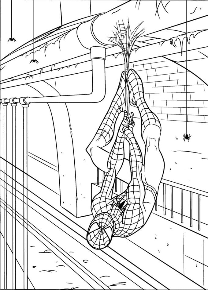 Spiderman colouring pages