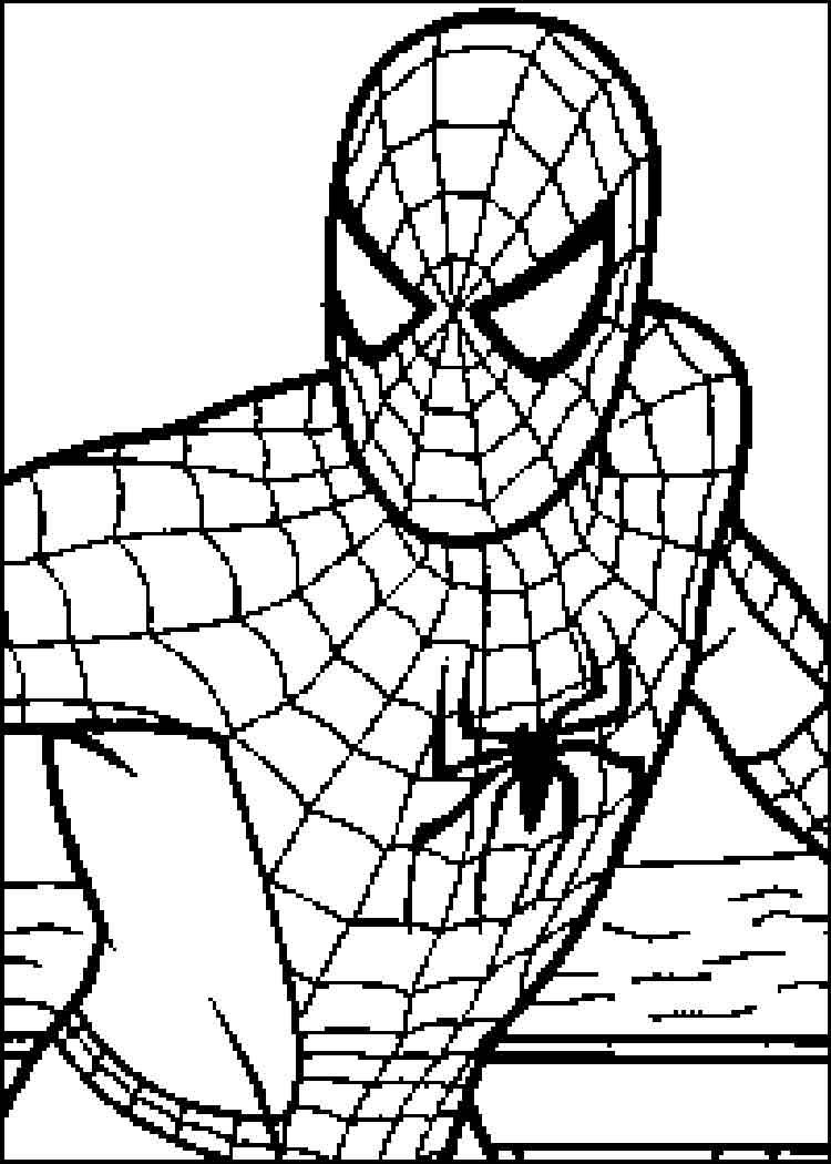Spiderman coloring pages only coloring pages pãginas para colorear para imprimir pãginas para colorear dibujos fãciles