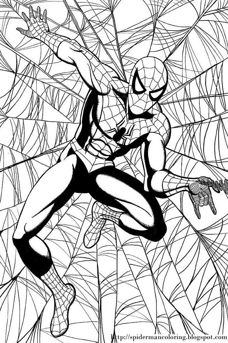 Spiderman coloring free spiderman coloring ctoon coloring pages spiderman coloring superhero coloring pages