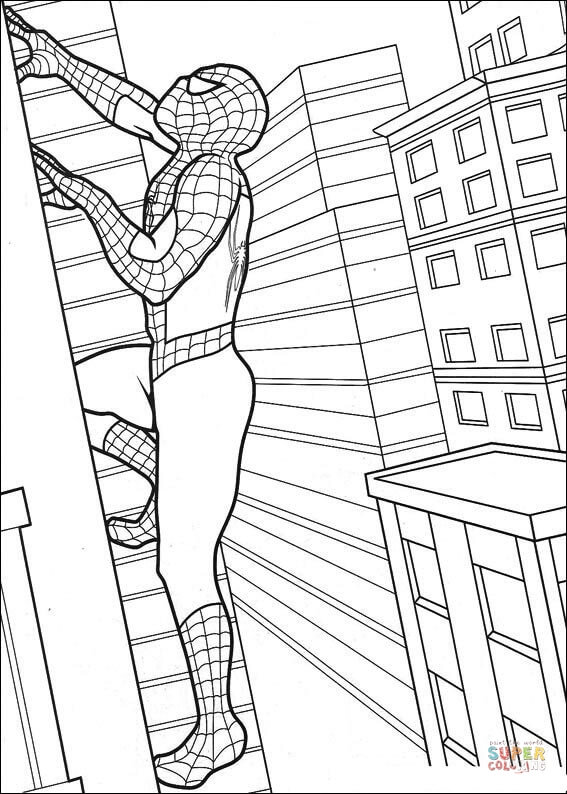 Spiderman is climbing the building coloring page free printable coloring pages