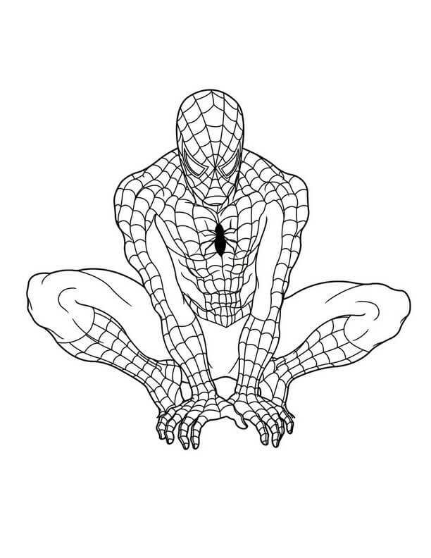 Spiderman free graphics coloring page