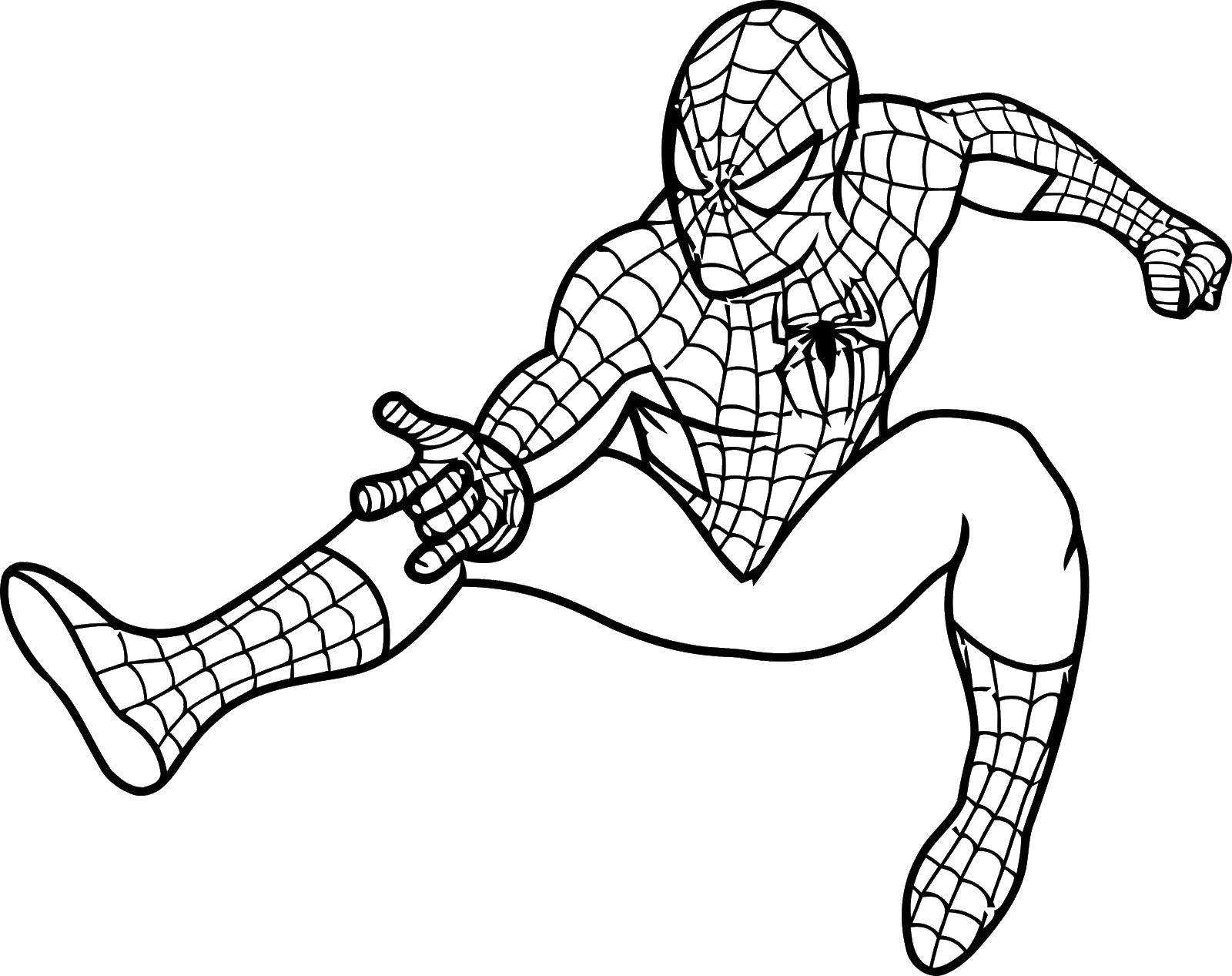 Online coloring pages coloring page spider spider man download print coloring page