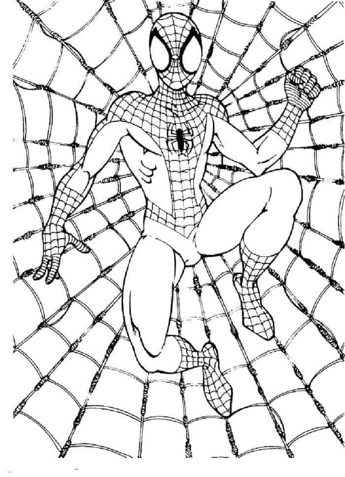 Spiderman web coloring pages ð ðñðºñðñðºð ð ðñðºñðñðºð ððñ ðð
