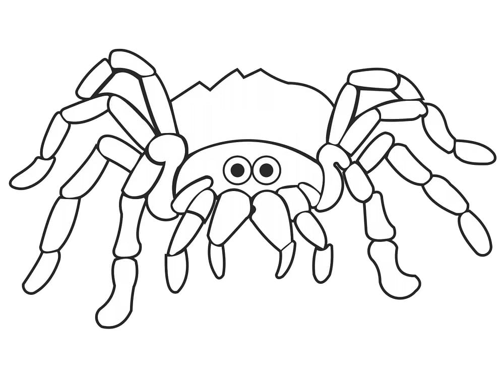 Spider printable coloring page