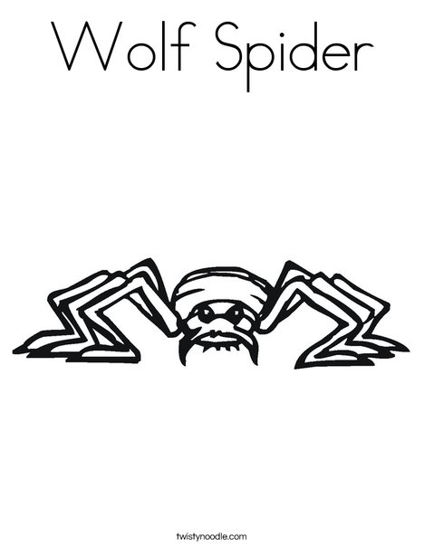 Wolf spider coloring page