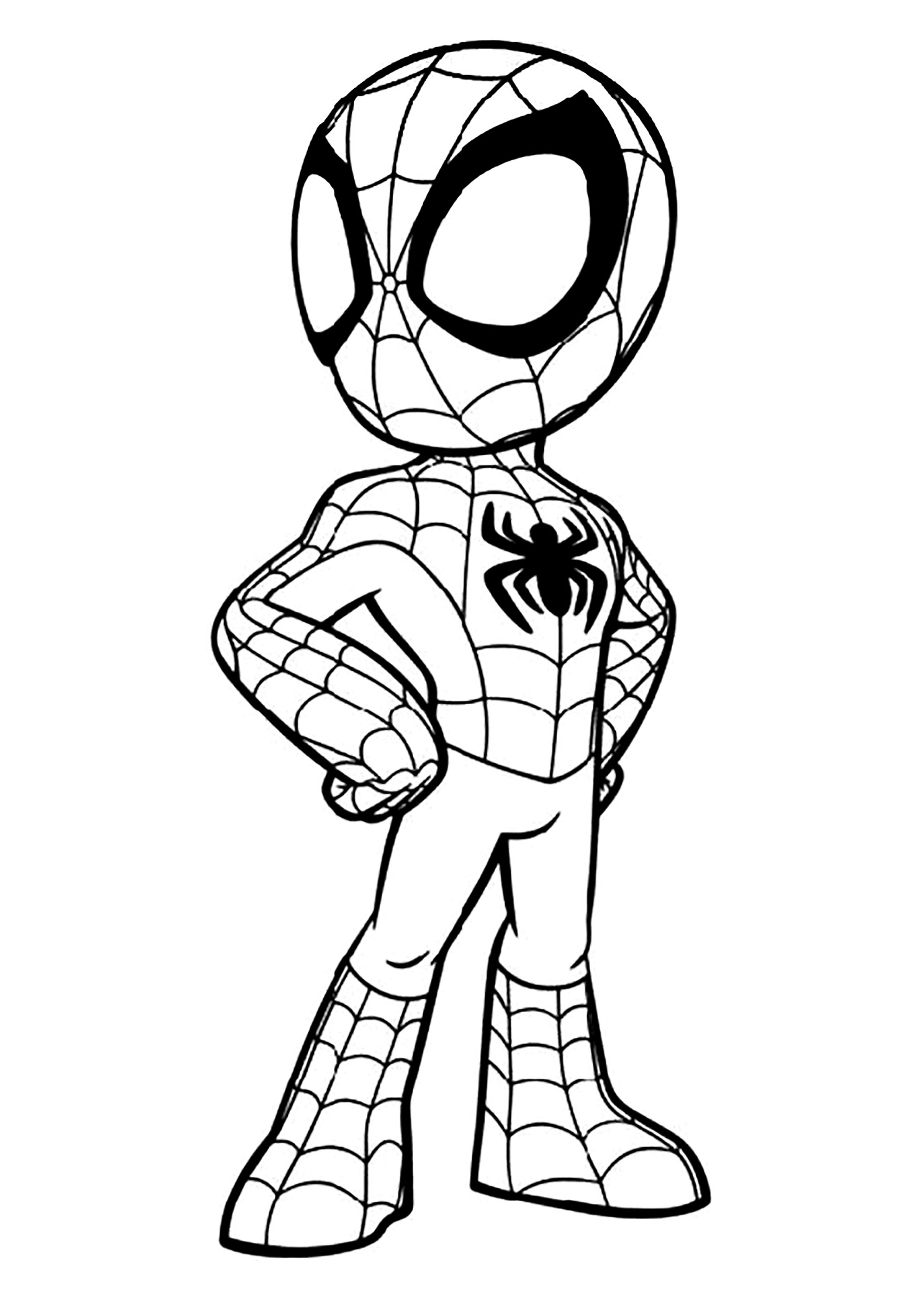 Spidey spider