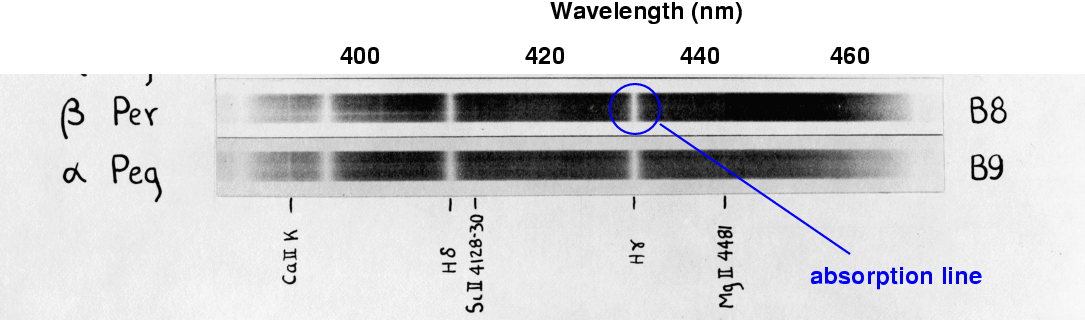 Classification of stellar spectra