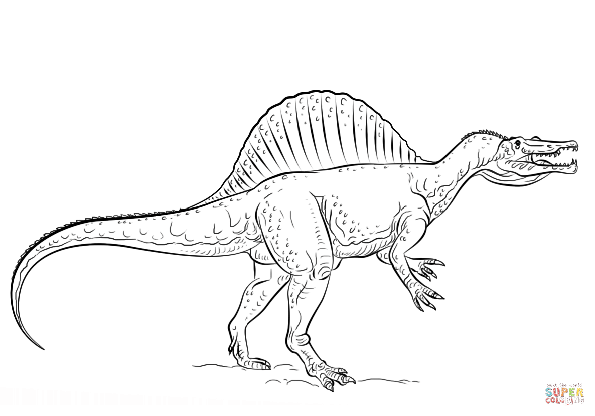 Spinosaurus coloring page free printable coloring pages