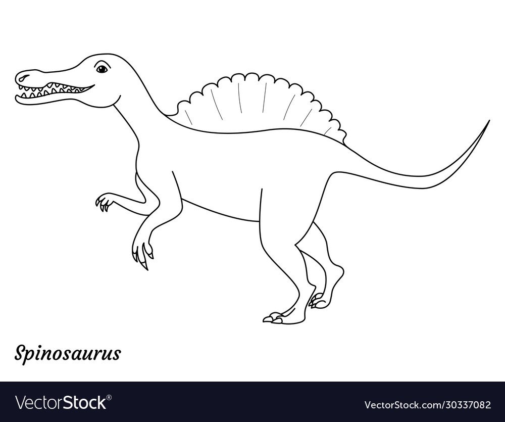 Coloring page outtline spinosaurus dinosaur vector image