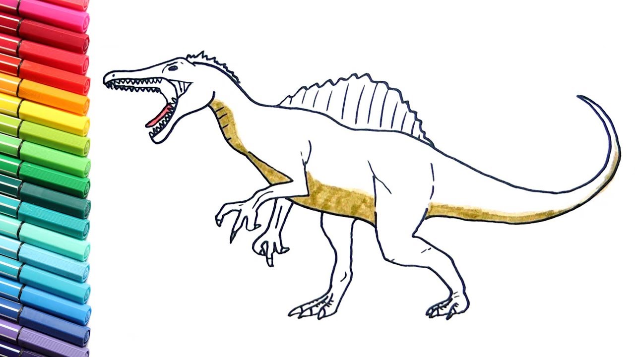 Drawing and coloring spinosaurus