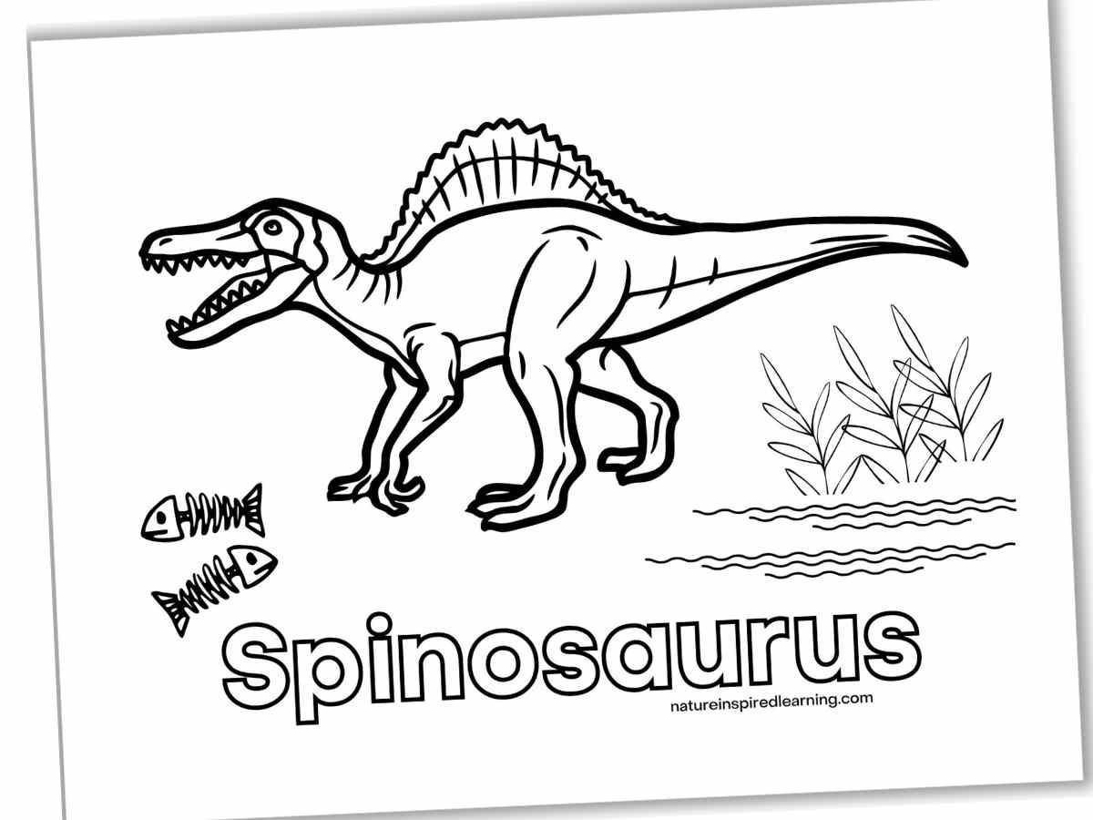 Dinosaur coloring pages