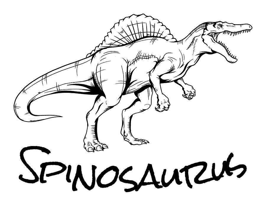 Spinosaurus sketch cool dinosaur digital art by kevin garbes