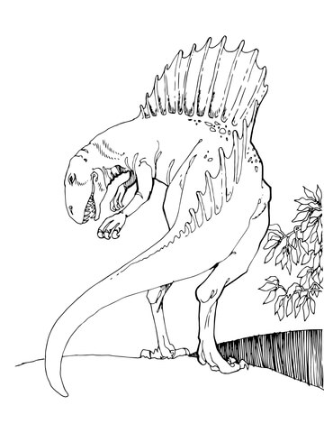 Spinosaurus theropod dinosaur coloring page free printable coloring pages