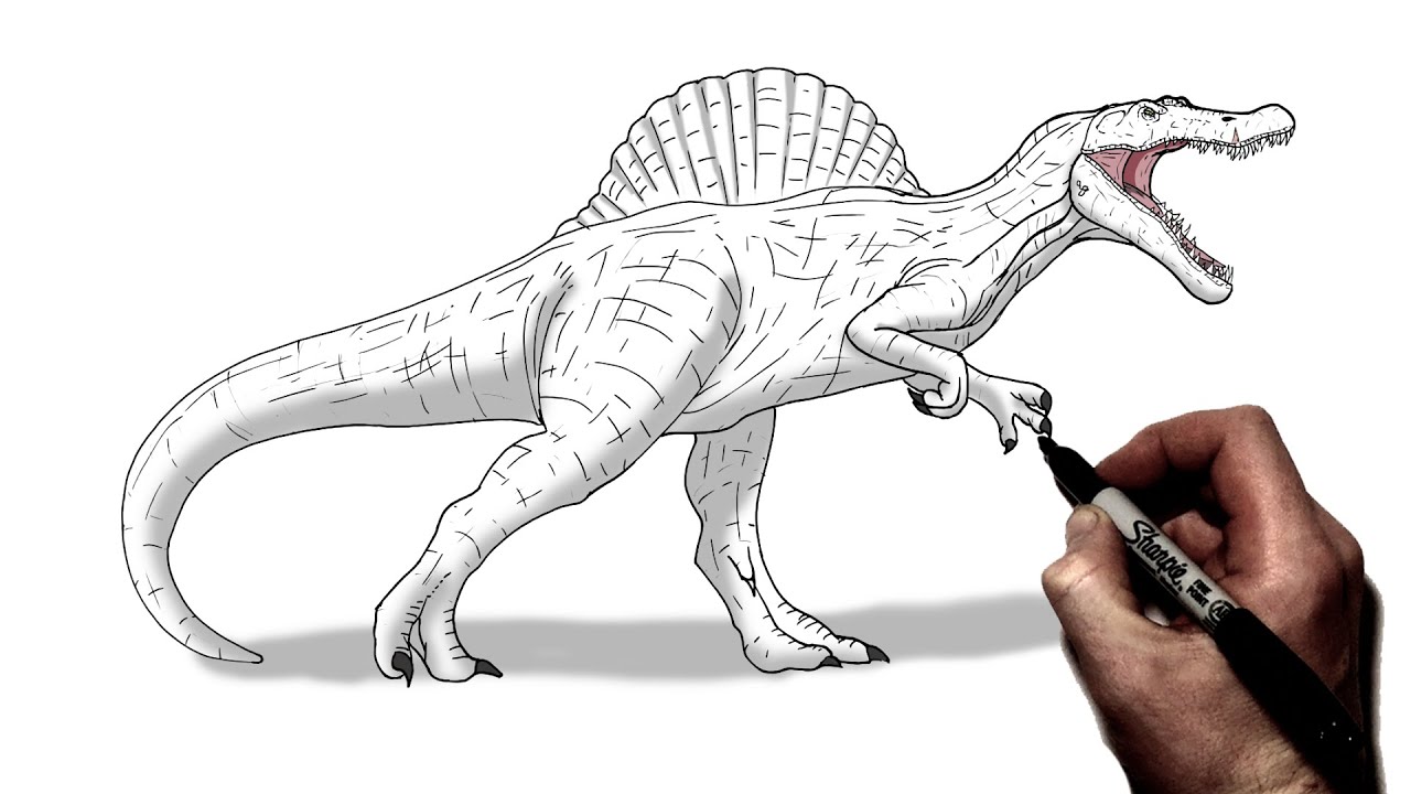 How to draw spinosaurus step by step jurassic world