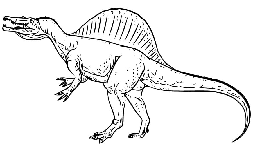 Spinosaurus coloring pages