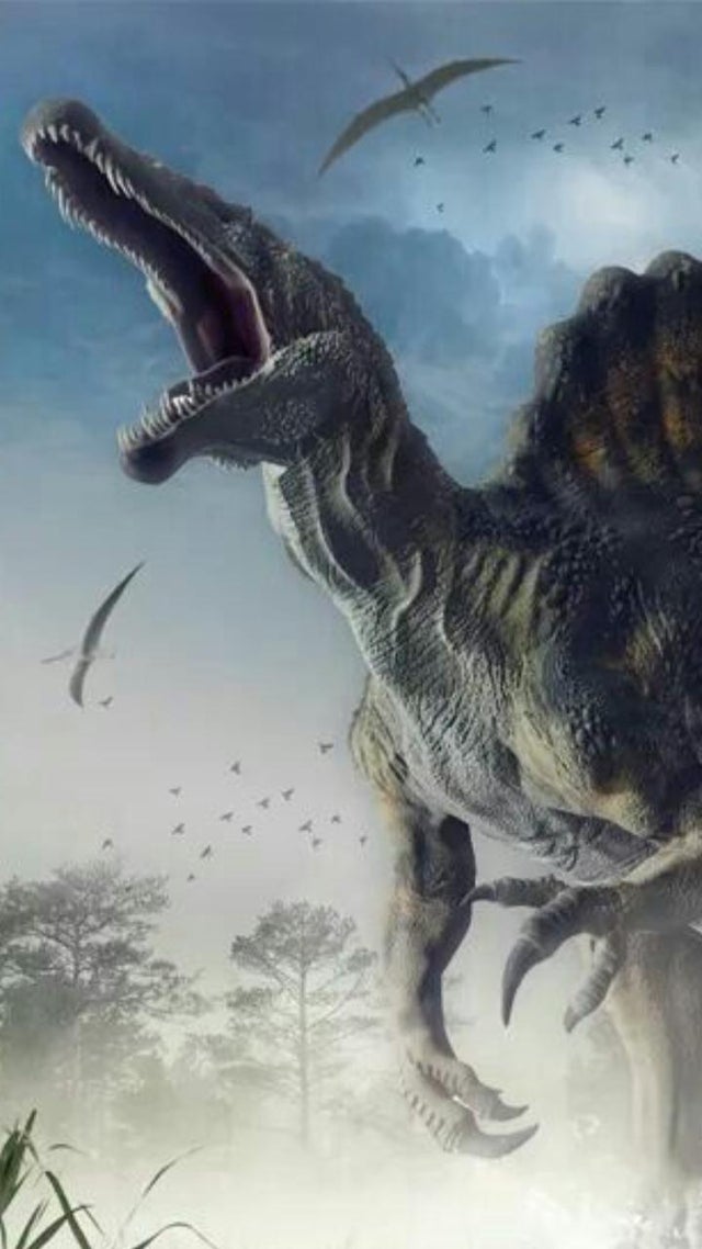 Download Free 100 + spinosaurus wallpaper