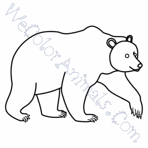 Brown bear coloring pages