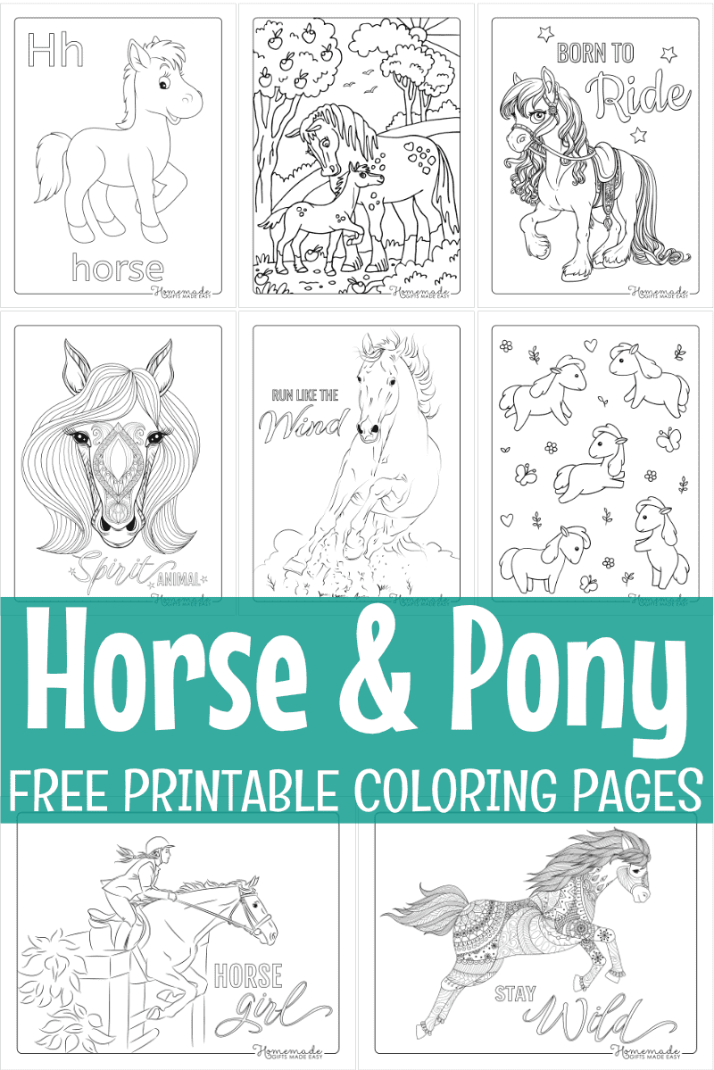 Best horse coloring pages for kids adults free printables