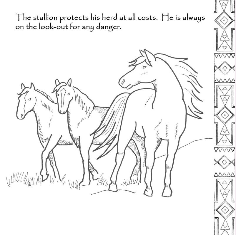 Spirit horse coloring book