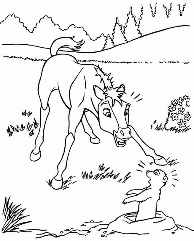 Spirit riding free coloring pages