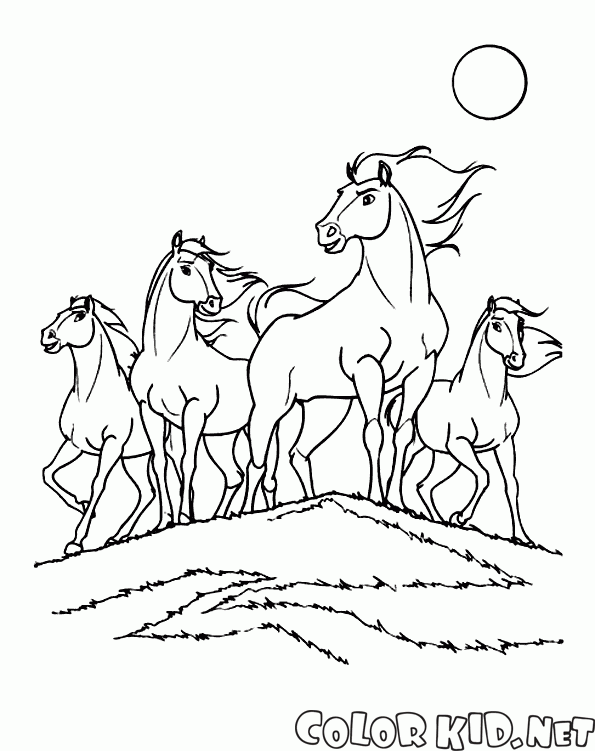 Coloring page