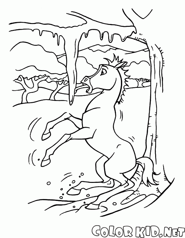 Coloring page