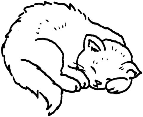 Sleeping cat curls up in a ball coloring page from cats category select from printable crafts of cartâ cat coloring page cat colors animal coloring pages