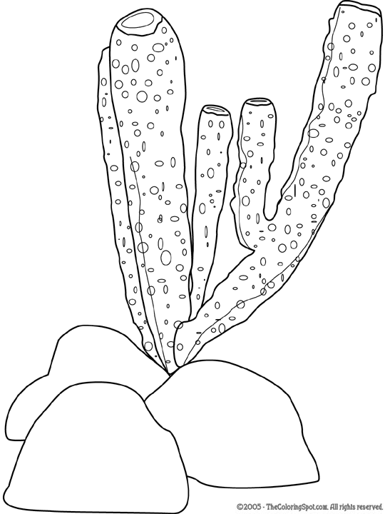 Sponge coloring page audio stories for kids free coloring pages colouring printables