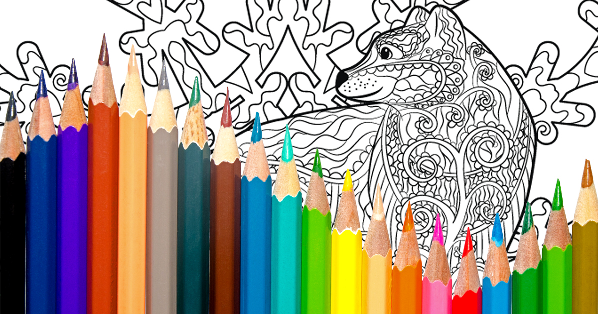 Free wildlife colouring pages and activities