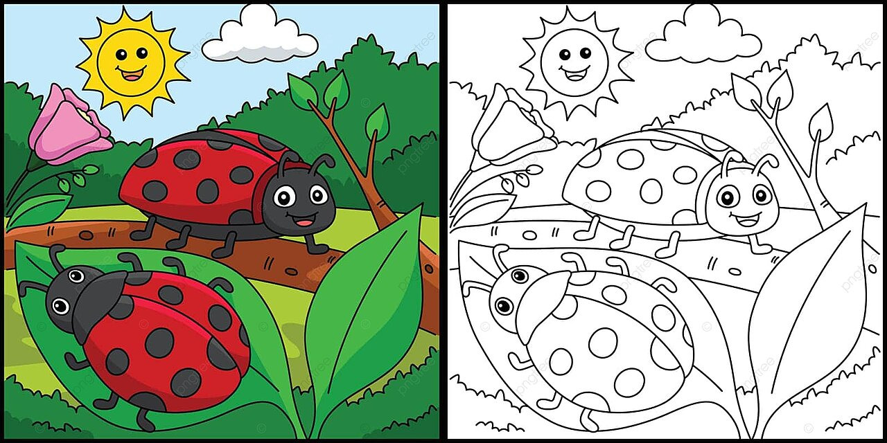 Spring two ladybugs coloring page illustration ladybird beetle coloring page filled color vector ladybird beetle coloring page filled color png and vector with transparent background for free download