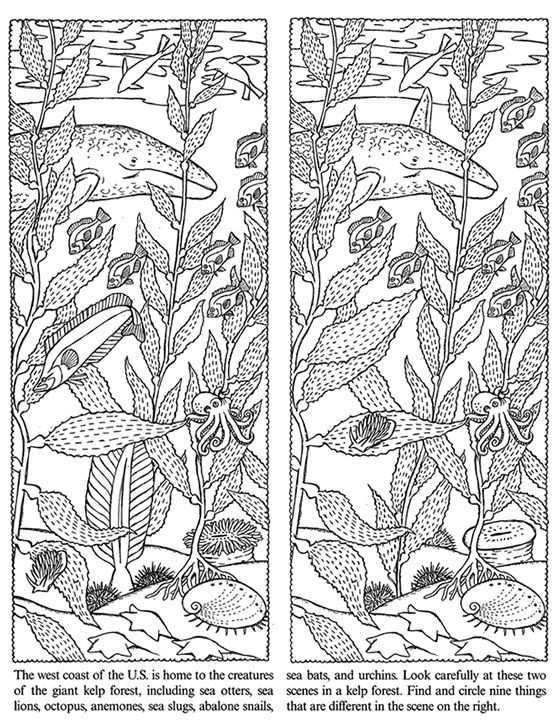 Wele to dover publications hidden pictures book activities color activities