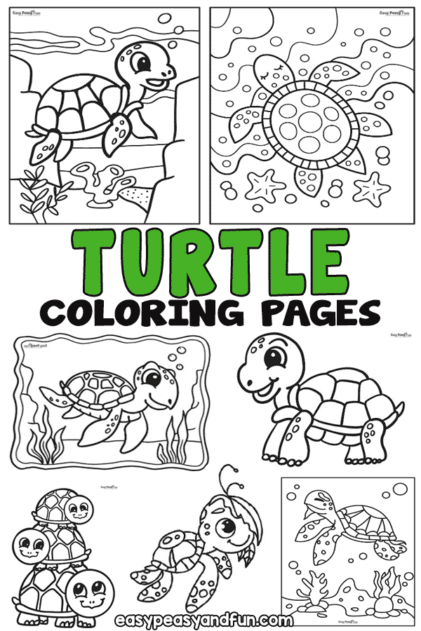 Turtle coloring pages