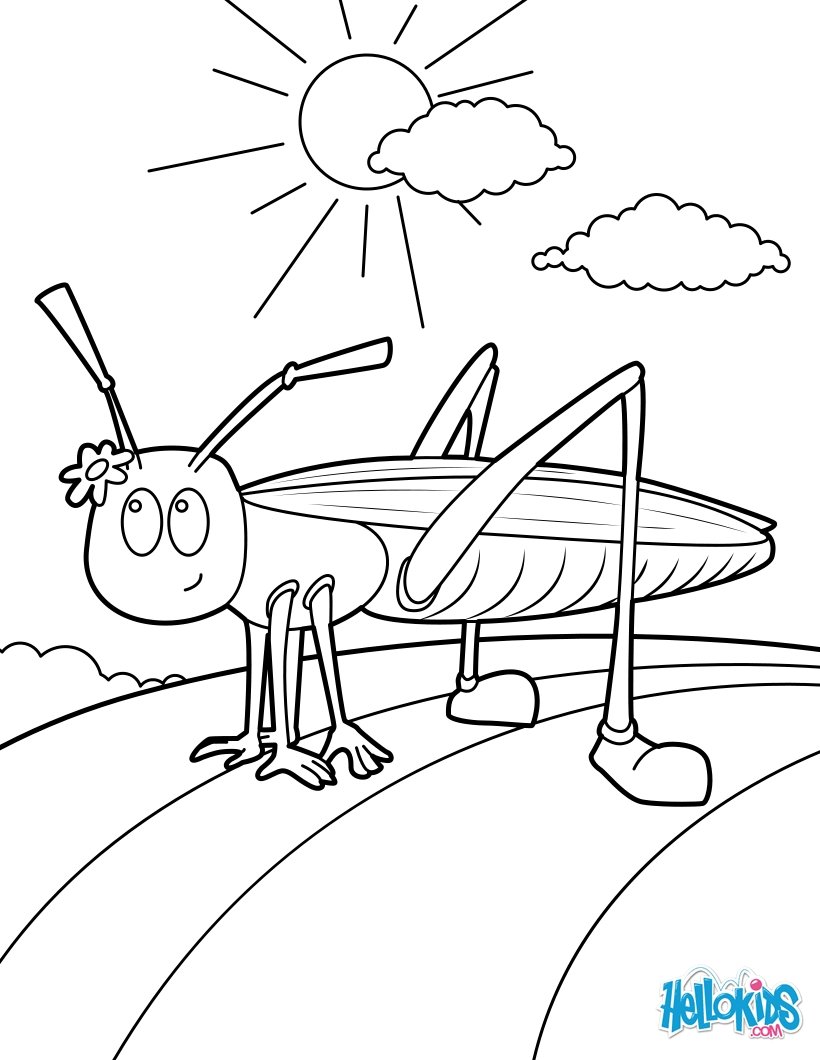 Grasshopper coloring pages