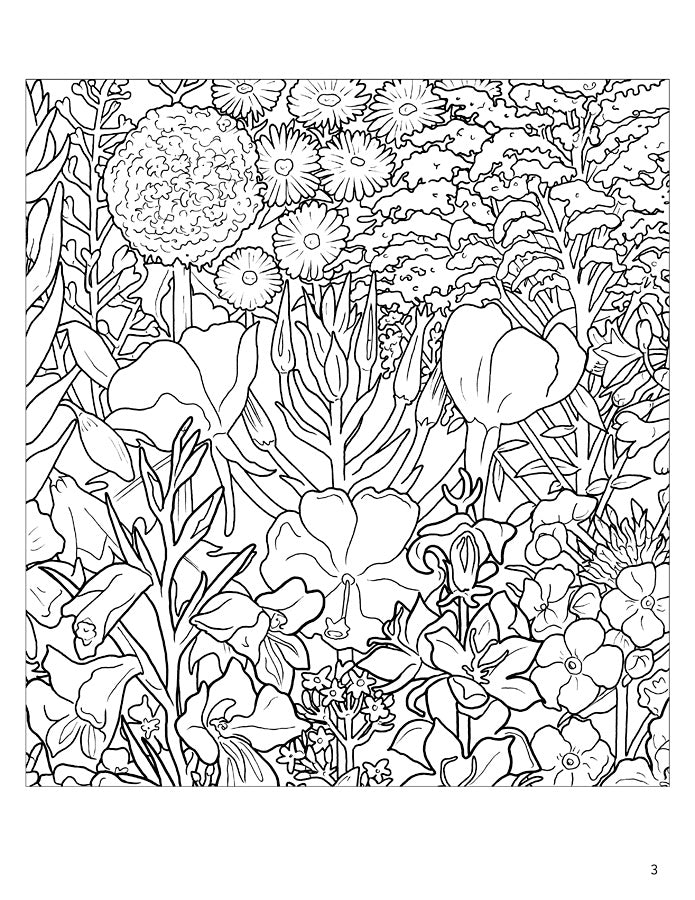 Rosalind wise flower cycle coloring book â seattle art museum