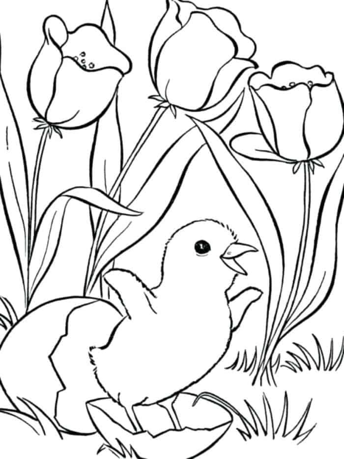 Spring animals coloring pages bird coloring pages flower coloring pages animal coloring pages