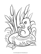 Spring coloring pages â free printable pdf from