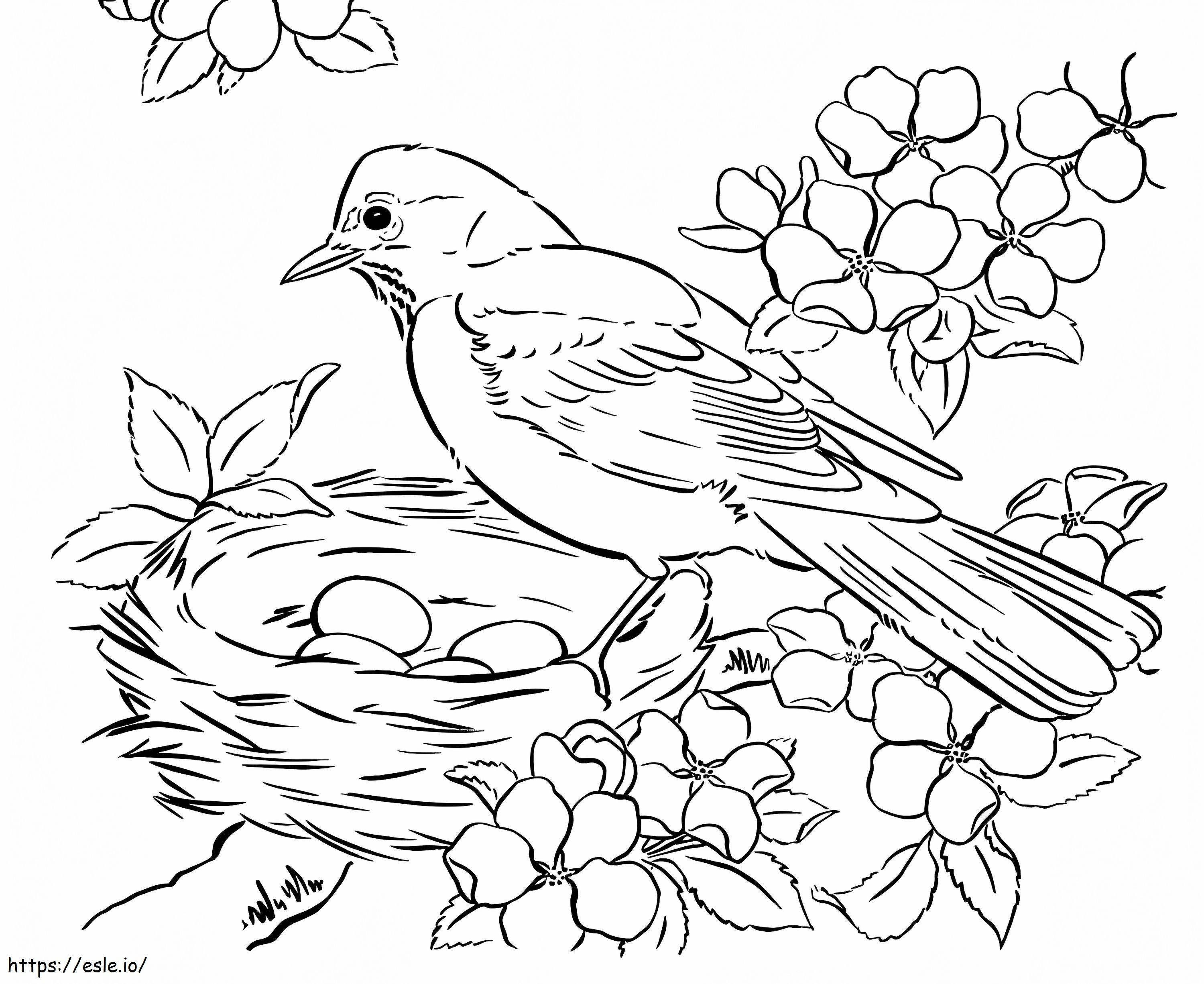 Lovely spring bird coloring page