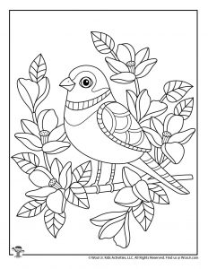 Spring adult coloring pages woo jr kids activities childrens publishing