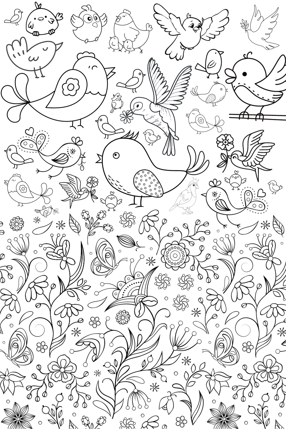 Bird coloring pages for kids and adults