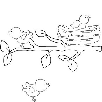 Bird coloring pages amazing selection of birds to color