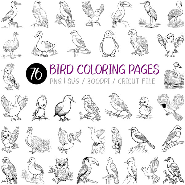 Bird coloring pages coloring book for kids