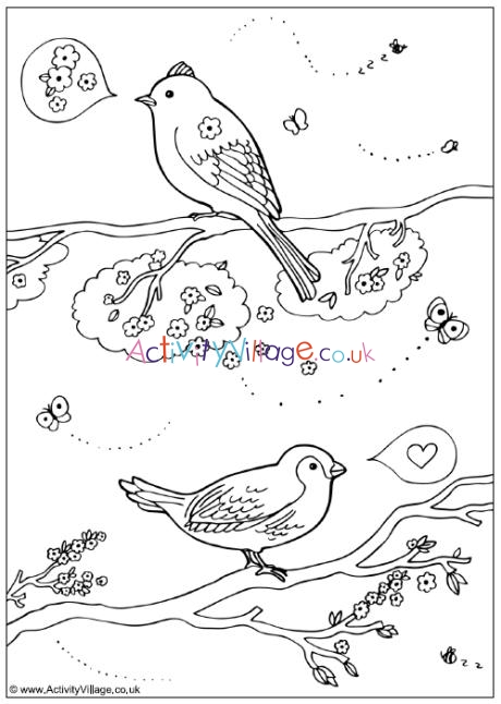 Spring birds louring page