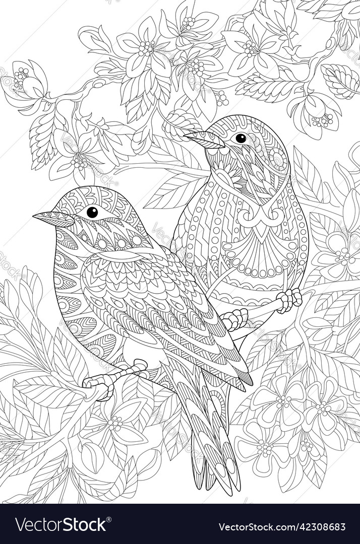 Spring birds coloring page royalty free vector image