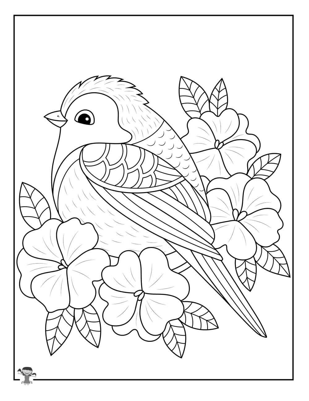 Spring bird and flowers coloring page