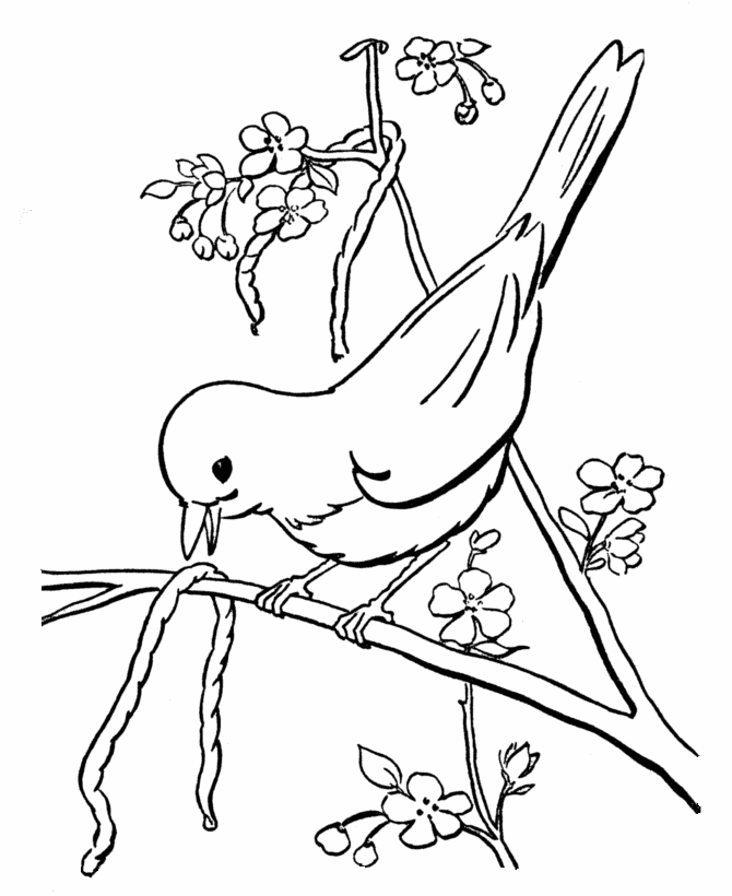 Spring scenes coloring page