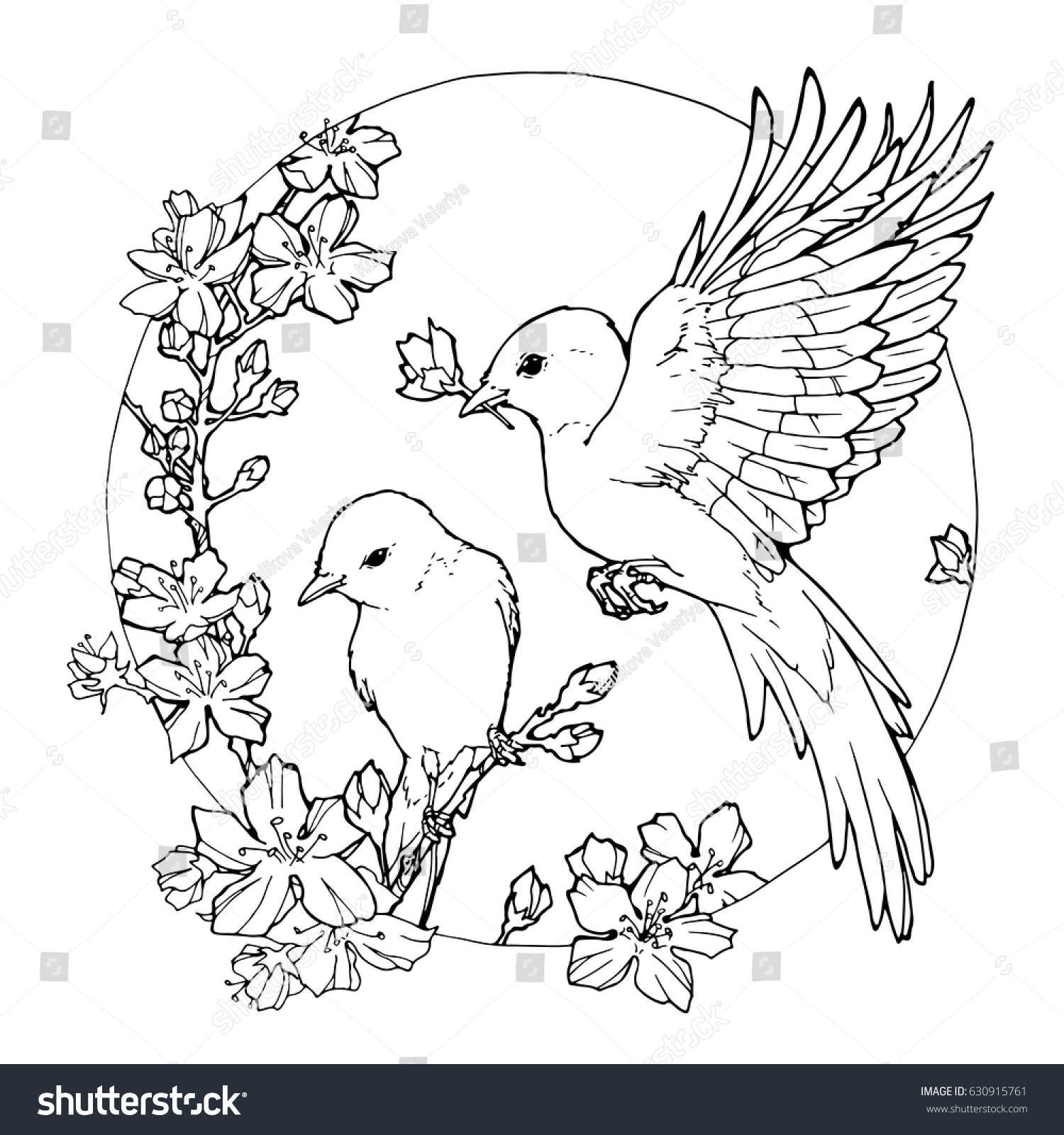 Hand drawn decorative illustration spring birds stock vector royalty free